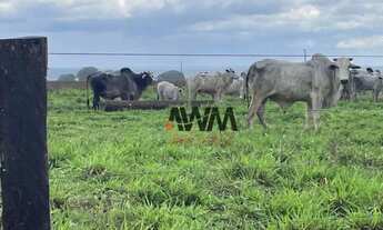 Imagem 3: Fazenda à venda, 21000 m² por R$ 450.000.000,00 - Novo Diamantino - Diamantino/MT