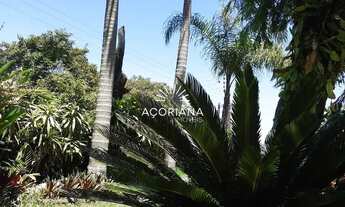 Imagem 2: Casa 3 dormitórios no Campeche