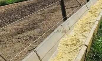 Imagem 2: FAZENDA SAO VICENTE A VENDA