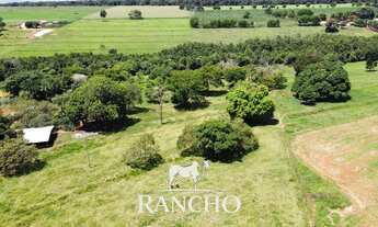 Imagem 6: Chacara de Alto Padrão em Hidrolandia Luxo