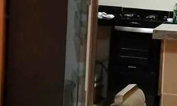 Imagem 5: Disponível para o Carnaval prox a rotatória do Francês