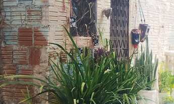 Imagem 3: Casa no Pedregal