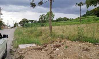 Imagem 2: Área de 4 hectares para investimento