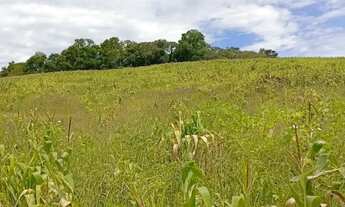 Imagem: Terrenos em Ibiúna 1000m² Viva Cercado