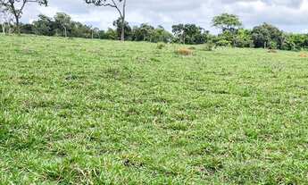 Imagem 4: Fazenda de 34 alqueires região de Goianápolis Goiás