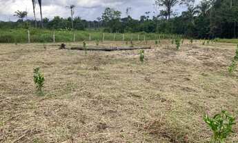 Imagem: Propriedade Rural