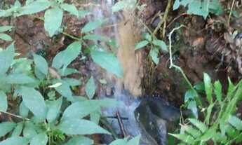 Imagem 5: Terreno 19 hectares Escriturado Município de Vargem SC