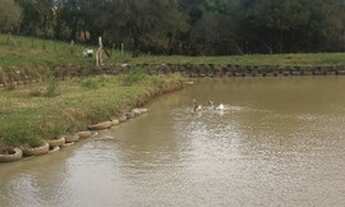 Imagem 7: Sitio Chácara com venda por R$450.000