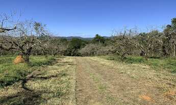 Imagem 2: TERRENO RURAL 20.000M2 PLANO COCUERA