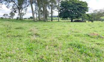 Imagem 3: Fazenda de 34 alqueires região de Goianápolis Goiás