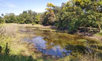 Imagem 4: Fazenda de 110 hectares. Plana. Divisa Rio Aquidauana - Corguinho - MS