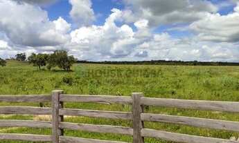 Imagem 4: Fazenda para pecuária em Rosário Oeste