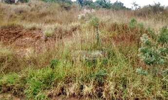 Imagem: Terreno rural à venda, Joaquim Egídio