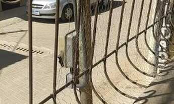 Imagem 6: Casa Duplex Casa com 4 dormitórios