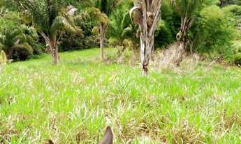 Imagem 4: Fazendinha 40 alqueires com 30 de abertura! município de Pacajá?