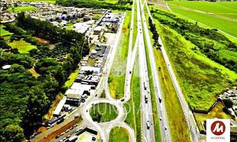 Imagem 16: Salão/Galpão (salão - térreo) , cozinha planejada