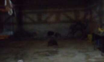 Imagem 7: Vendo casa de 320m², 3 quartos, garagem p/ 4 carros(...) no Pôr do Sol (P-Sul, Ceilândia)