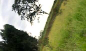 Imagem 7: Fazenda/Sítio/Chácara para venda com 242000 metros quadrados em Itaim - Itu - SP