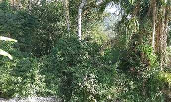 Imagem 7: Ótima Chacara 6Mil Metros2 - 170mil - À Vista - Aceita Proposta - Com Escritura