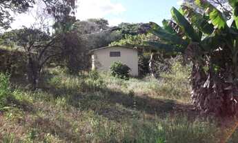 Imagem 7: Lindo sitio de 20 mil metros(Baldim) Temos varias opções)