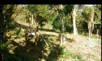 Imagem 2: Excelente área na ferrugem Garopaba SC