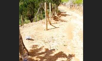 Imagem: Terreno Área rural, com plantação de