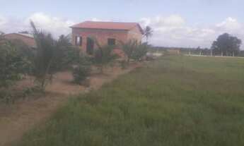 Imagem 2: Vende_se um sítio em construção