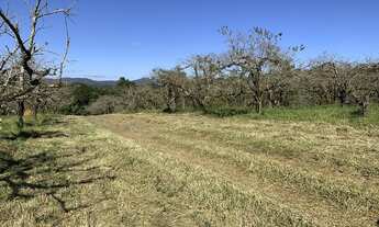 Imagem 3: TERRENO RURAL 20.000M2 PLANO COCUERA