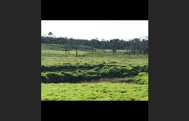 Imagem 3: VENDE-SE FAZENDA COM 519ha REGIÃO DE IRACEMA