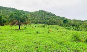 Imagem 2: Fazenda na Agrovila das Palmeiras