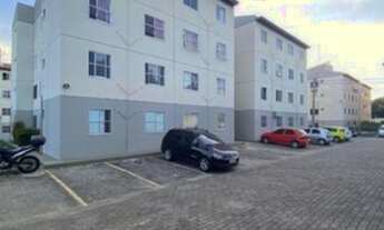 Imagem: Apartamento alugo maraponga - Magnolia