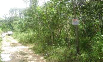 Imagem 1: Terreno 1000mts beira do rio das velhas