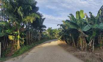 Imagem 2: Sítio 46 hectares Produção de Banana, Pupunha, Rio (Willian Ricardo