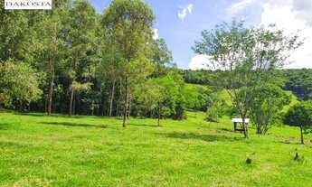 Imagem 7: 7.3 Alqueires todo cercado e gramada dá metade de lavoura perto da PR 180