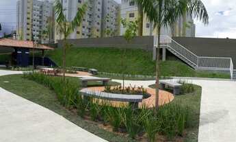 Imagem 6: Leve Castanheiras