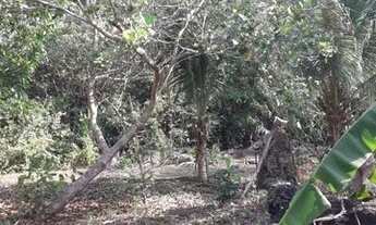 Imagem 5: Sitio 100× 1000