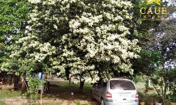 Imagem 7: Ótimo Sitiozinho 504 m2