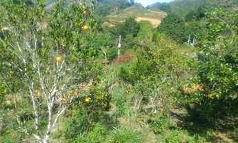 Imagem 3: VENDE-SE UM TERRENO