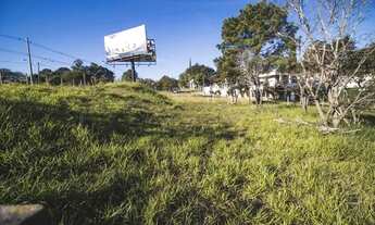 Imagem 2: Terreno - Bairro das Palmeiras - Campinas