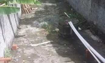 Imagem 5: Vende se Casa no Fernando Collor