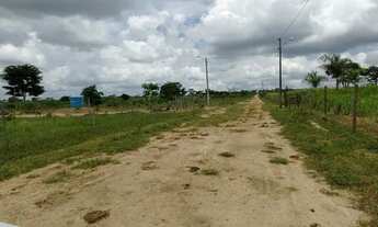 Imagem 3: Capinal4mil metros quadrados Próx a Nilo Coelho em Conquista