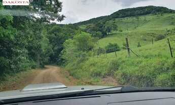 Imagem 4: 7.3 Alqueires todo cercado e gramada dá metade de lavoura perto da PR 180