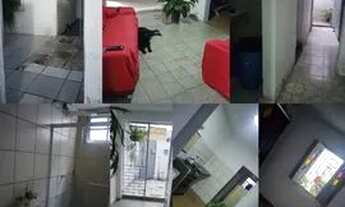 Imagem: Aluguel São João Cruz Das Almas