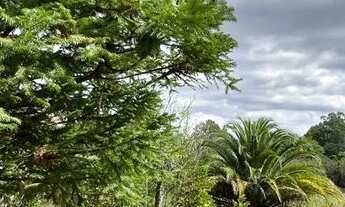 Imagem 7: Sítio De Barbada Só R$ 19.900 - E Ainda Parcelo Direto. ROB:659