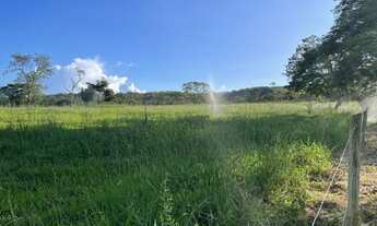 Imagem 2: Fazenda de luxo 36ha toda formada, lagoa de peixes, córrego, poço artesiano, Jaboticatubas