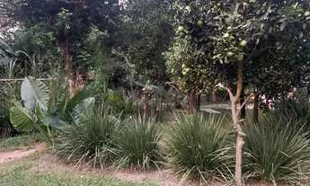 Imagem 6: Mini chácara Lomba grande NH ac Troca