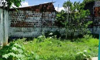 Imagem 4: Repasso Essa Bela Casa, Rosa dos Ventos