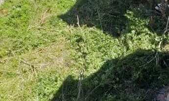 Imagem: MIL- Terreno em Bairro Novo - Olinda - PE