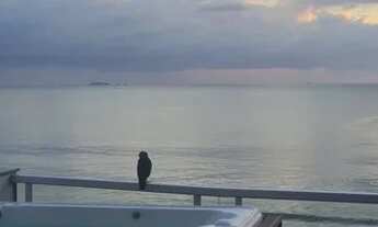 Imagem 5: Cobertura Palmas Governador Celso Ramos