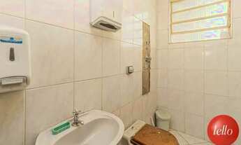 Imagem 6: São Paulo - Casa Comercial - Penha